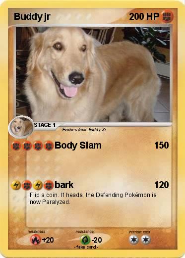 Pokemon Buddy jr