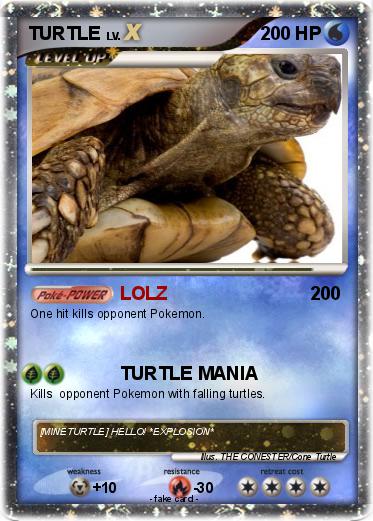 Pokemon TURTLE