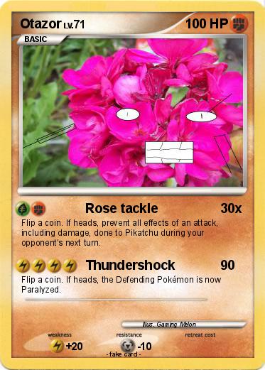 Pokemon Otazor