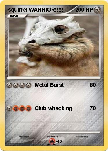 Pokemon squirrel WARRIOR!!!!!