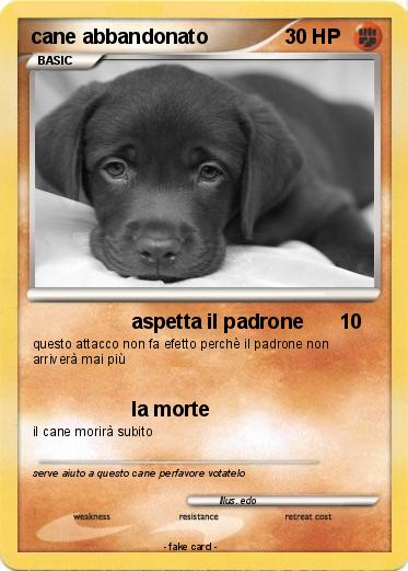 Pokemon cane abbandonato