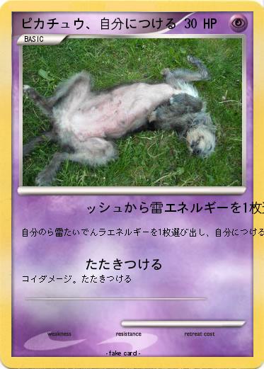 Pokemon ピカチュウ、自分につける