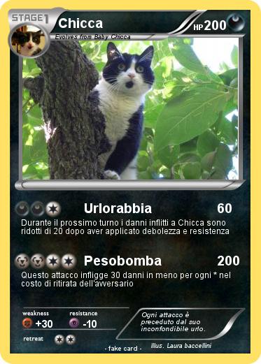 Pokemon Chicca