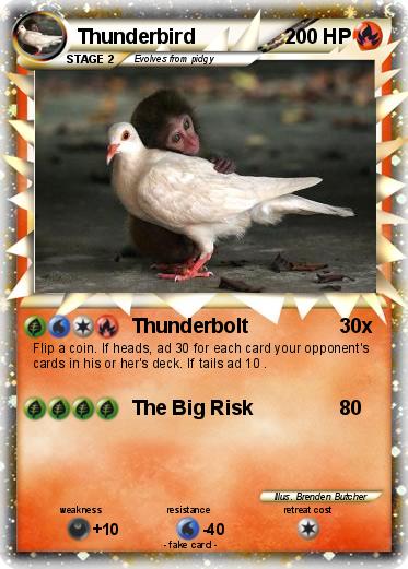 Pokemon Thunderbird