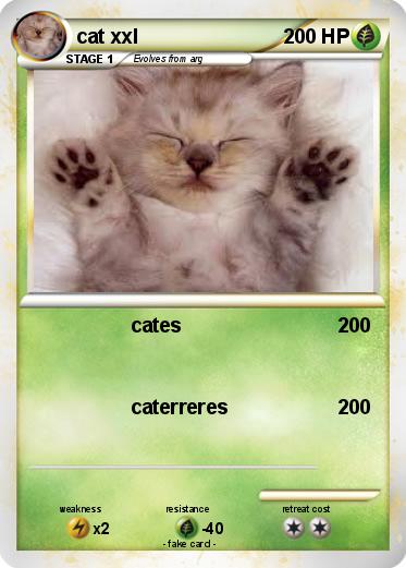 Pokemon cat xxl