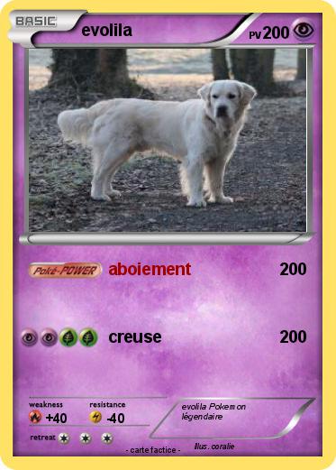 Pokemon evolila