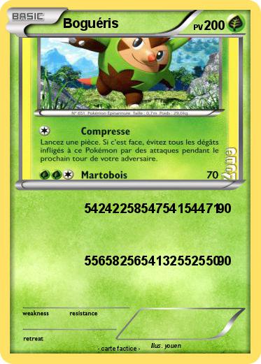 Pokemon Boguéris