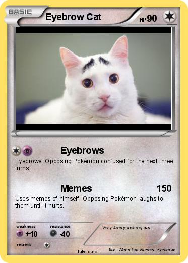 Pokemon Eyebrow Cat