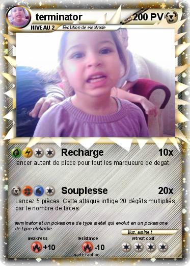 Pokemon terminator