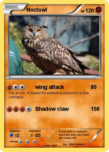 Pokemon Noctowl
