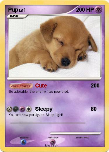 Pokemon Pup
