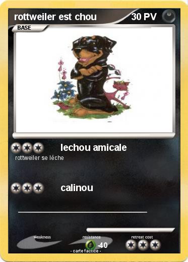 Pokemon rottweiler est chou