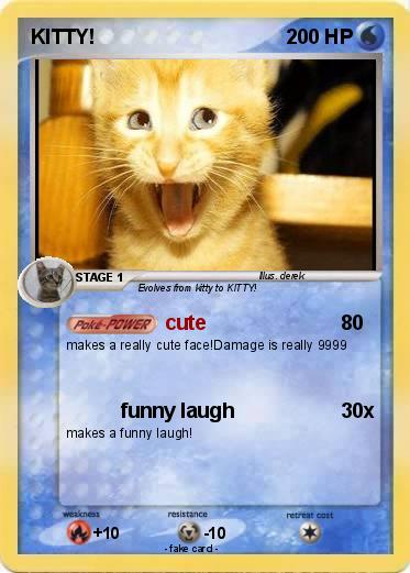 Pokemon KITTY!