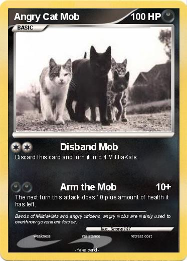 Pokemon Angry Cat Mob