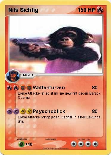 Pokemon Nils Sichtig