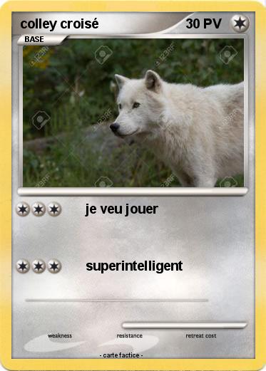 Pokemon colley croisé