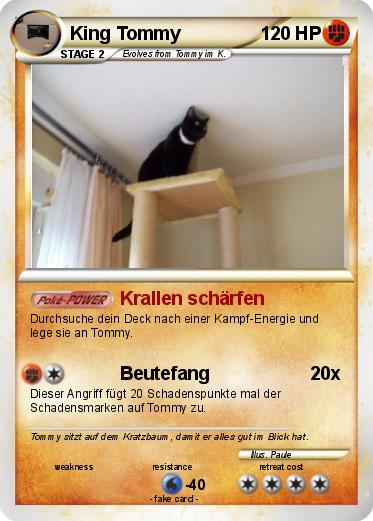Pokemon King Tommy