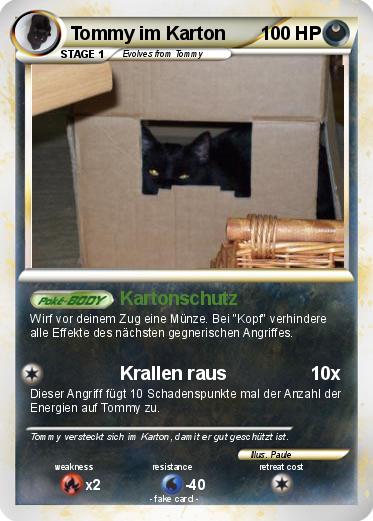 Pokemon Tommy im Karton