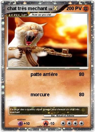 Pokemon chat très mechant