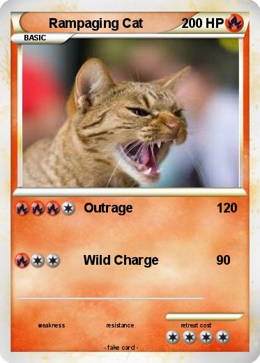 Pokemon Rampaging Cat