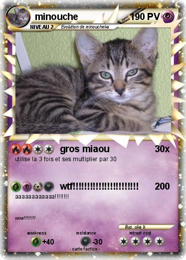Pokemon minouche