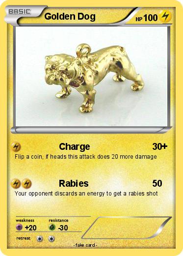 Pokemon Golden Dog