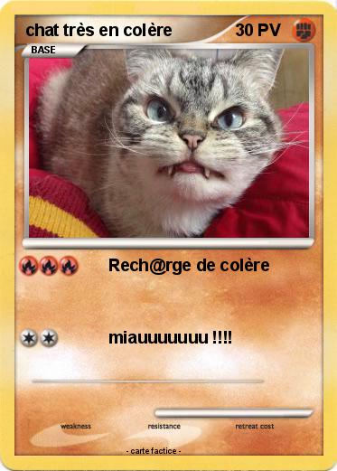 Pokemon chat très en colère