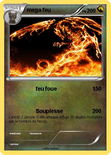 Pokemon mega feu