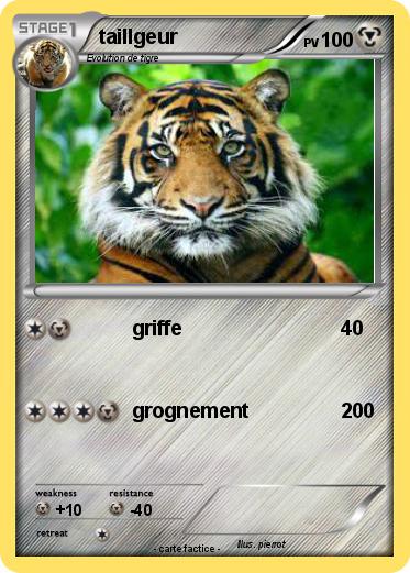 Pokemon taillgeur