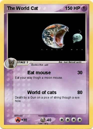 Pokemon The World Cat