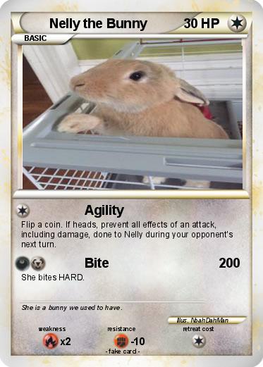 Pokemon Nelly the Bunny