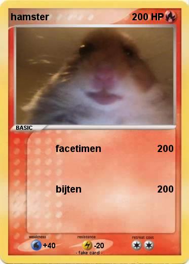 Pokemon hamster