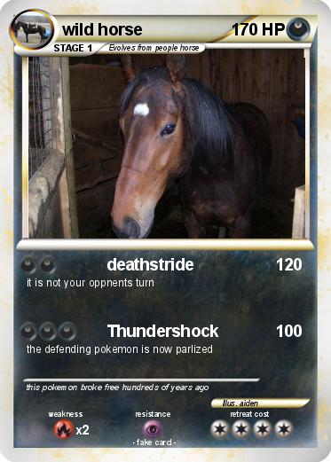Pokemon wild horse
