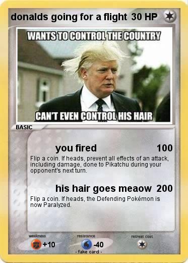 Pokemon donalds going for a flight