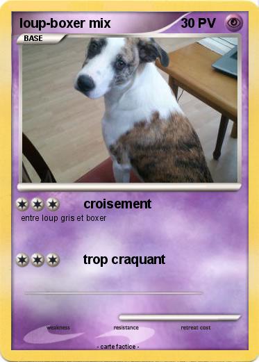 Pokemon loup-boxer mix
