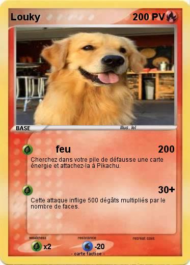 Pokemon Louky