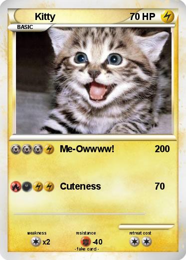 Pokemon Kitty