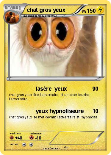 Pokemon chat gros yeux