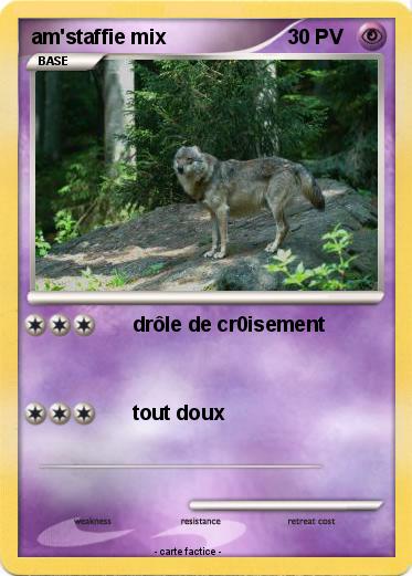 Pokemon am'staffie mix
