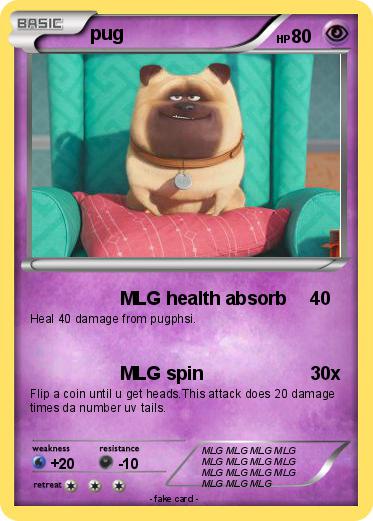 Pokemon pug