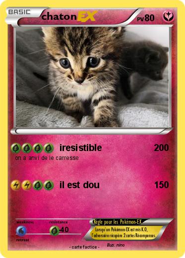 Pokemon chaton