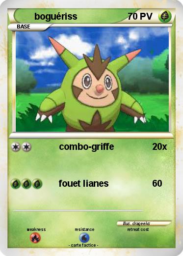 Pokemon boguériss