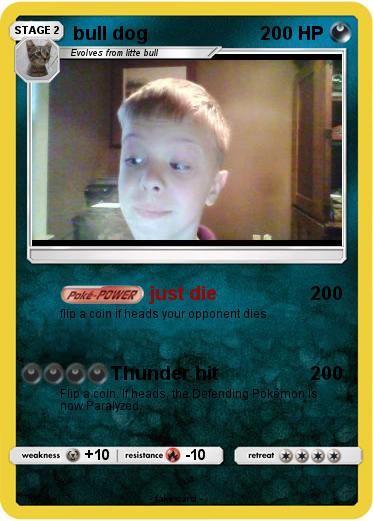 Pokemon bull dog