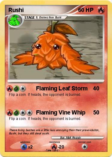 Pokemon Rushi