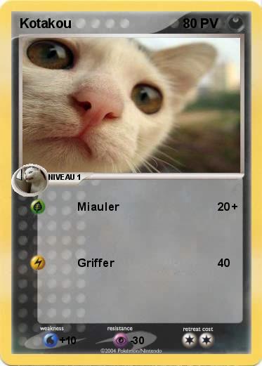 Pokemon Kotakou