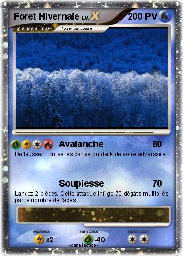 Pokemon Foret Hivernale