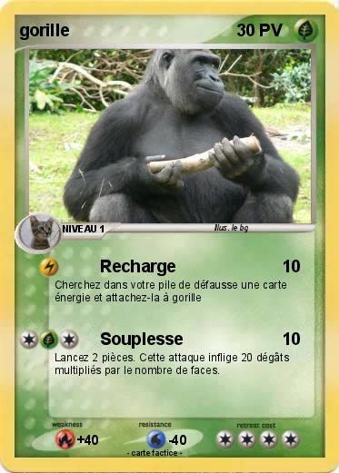 Pokemon gorille