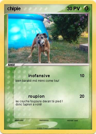 Pokemon chipie