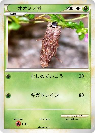 Pokemon オオミノガ