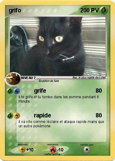 Pokemon grifo
